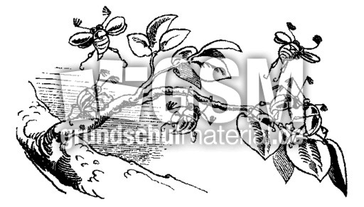 Max-Moritz-sw 5 01.gif